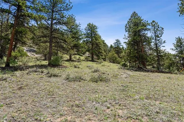 TBD Lot 42 Governors Lane Estes Park, CO 80517