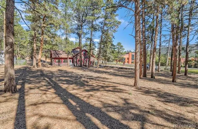 312 West Street Woodland Park, CO 80863