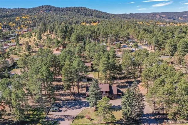 312 West Street Woodland Park, CO 80863