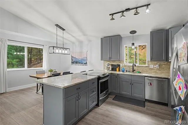 809 Roland Drive Bailey, CO 80421