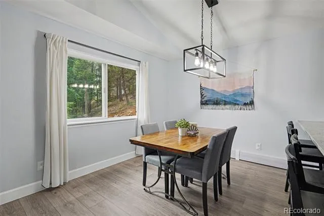 809 Roland Drive Bailey, CO 80421