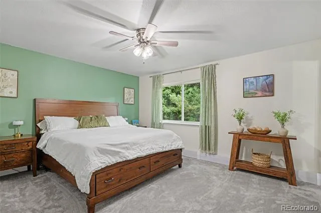 809 Roland Drive Bailey, CO 80421
