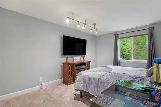 809 Roland Drive Bailey, CO 80421