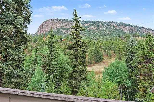 809 Roland Drive Bailey, CO 80421
