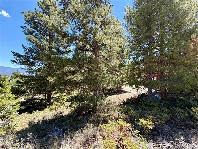 755 GCR 4052 Granby, CO 80446