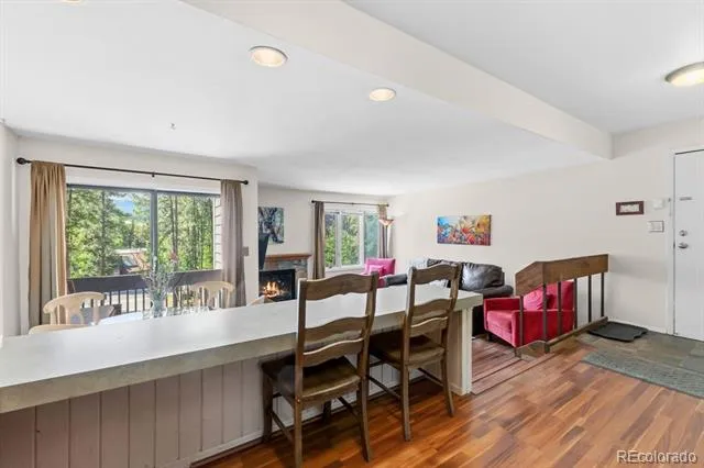 246 Broken Lance Dr #402 Breckenridge, CO 80424