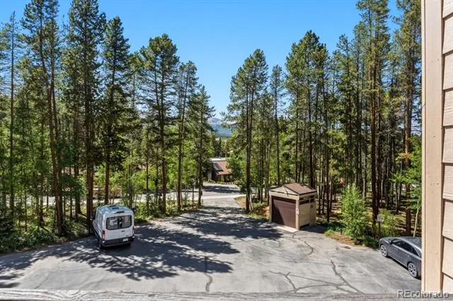 246 Broken Lance Dr #402 Breckenridge, CO 80424