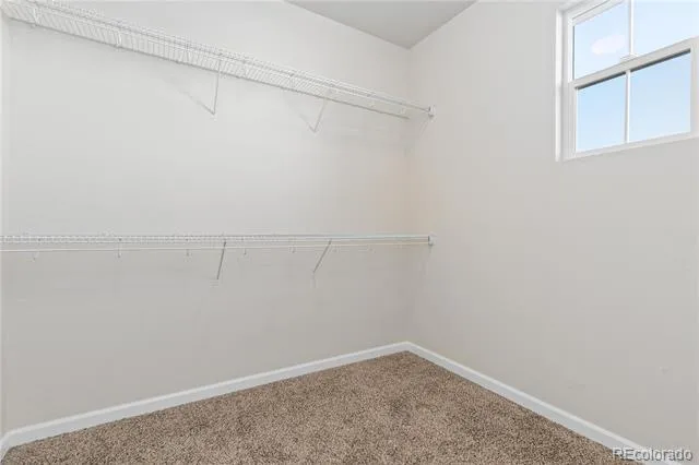 476 Cholla Drive Loveland, CO 80537