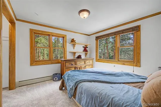 2028 Lazy Z Road Nederland, CO 80466
