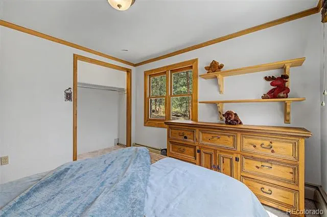 2028 Lazy Z Road Nederland, CO 80466