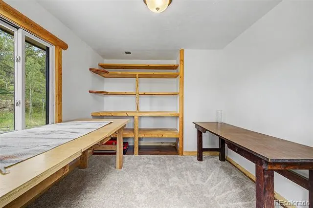 2028 Lazy Z Road Nederland, CO 80466