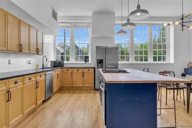 225 Lincoln Street #1 Denver, CO 80203