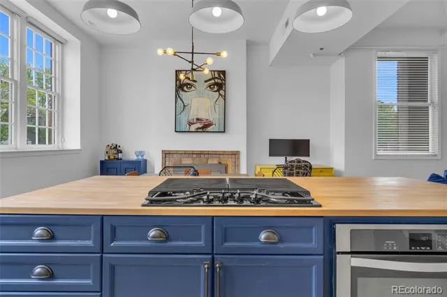 225 Lincoln Street #1 Denver, CO 80203
