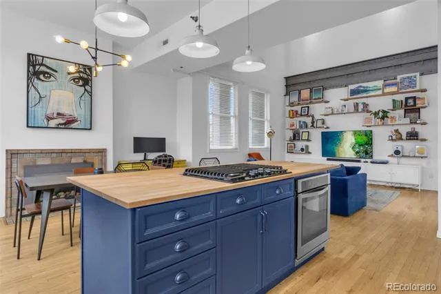 225 Lincoln Street #1 Denver, CO 80203