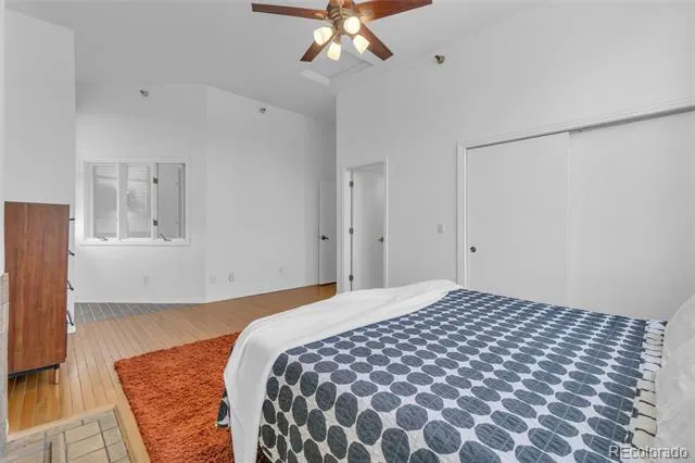 225 Lincoln Street #1 Denver, CO 80203
