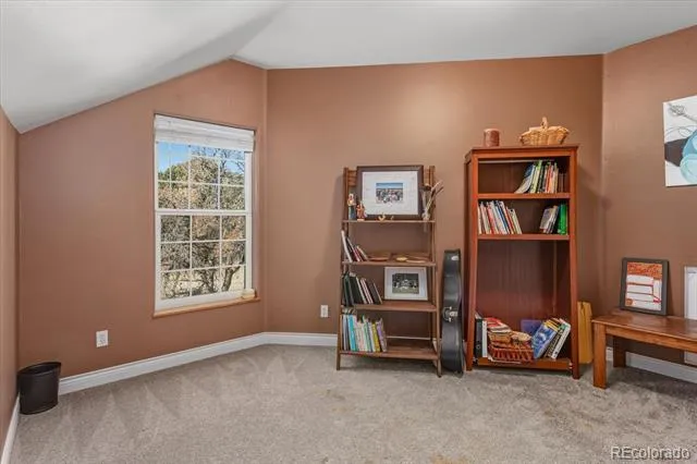 8557 Mountain View Farms Lane Salida, CO 81201