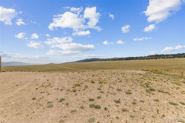 779 S Margaret Place Hartsel, CO 80449