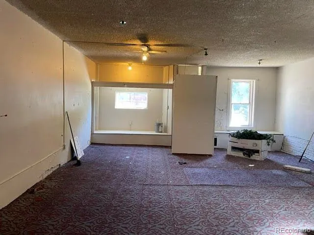 3037 Williams Street Denver, CO 80205