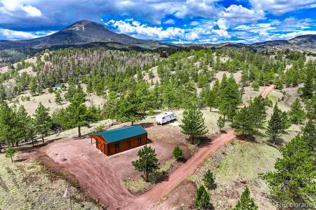 75 Deer Run Guffey, CO 80820