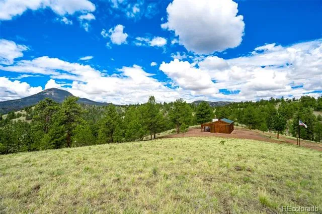 75 Deer Run Guffey, CO 80820