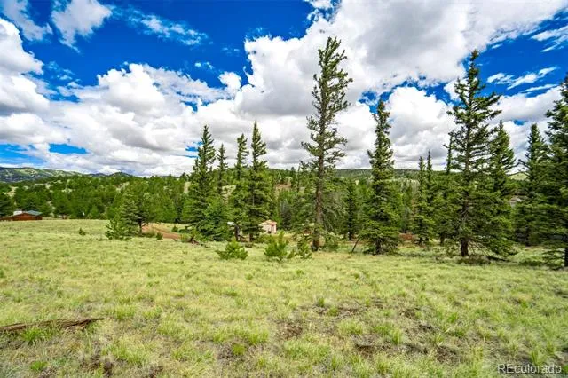 75 Deer Run Guffey, CO 80820