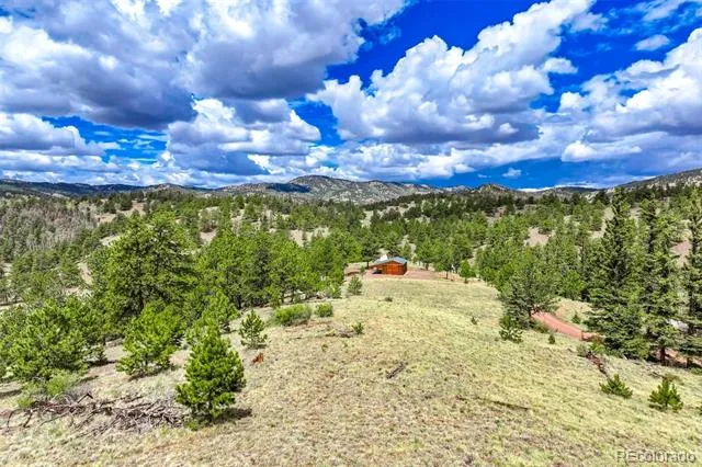 75 Deer Run Guffey, CO 80820