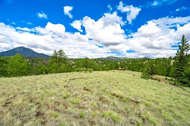 75 Deer Run Guffey, CO 80820