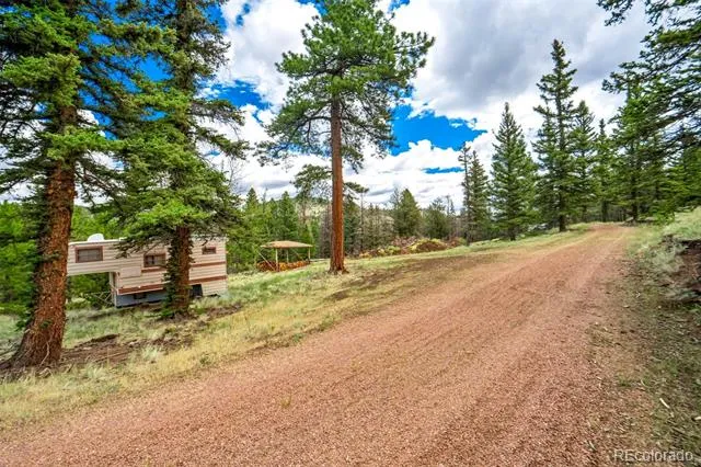 75 Deer Run Guffey, CO 80820