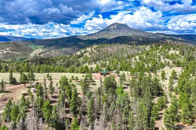 75 Deer Run Guffey, CO 80820