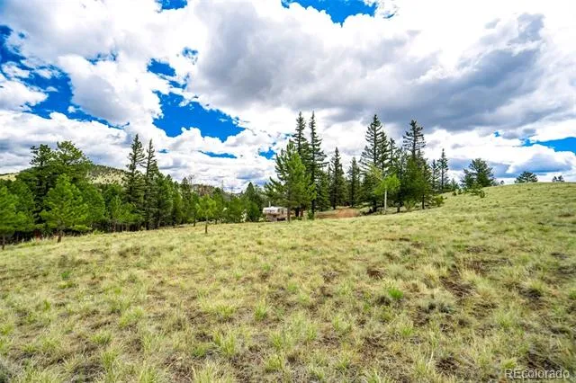 75 Deer Run Guffey, CO 80820