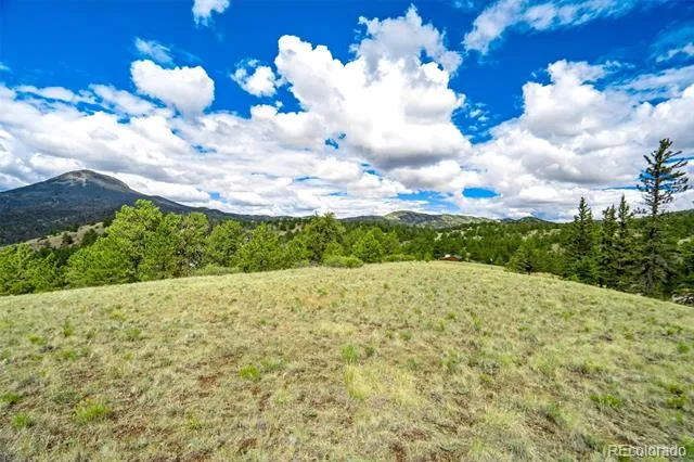 75 Deer Run Guffey, CO 80820