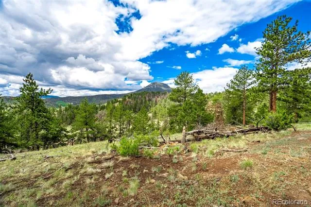 75 Deer Run Guffey, CO 80820