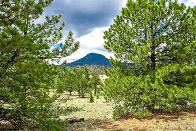 75 Deer Run Guffey, CO 80820