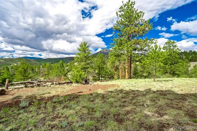 75 Deer Run Guffey, CO 80820