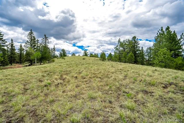 75 Deer Run Guffey, CO 80820