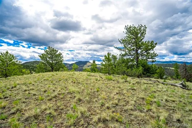 75 Deer Run Guffey, CO 80820