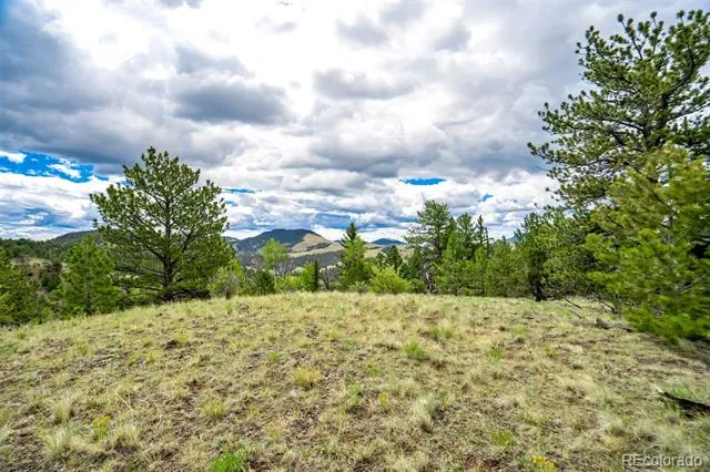 75 Deer Run Guffey, CO 80820