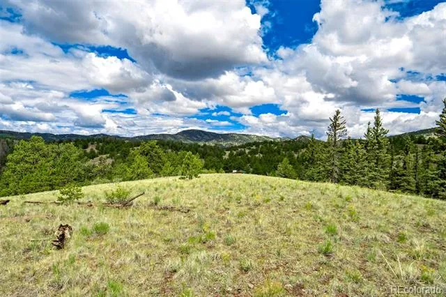75 Deer Run Guffey, CO 80820