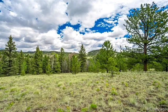 75 Deer Run Guffey, CO 80820