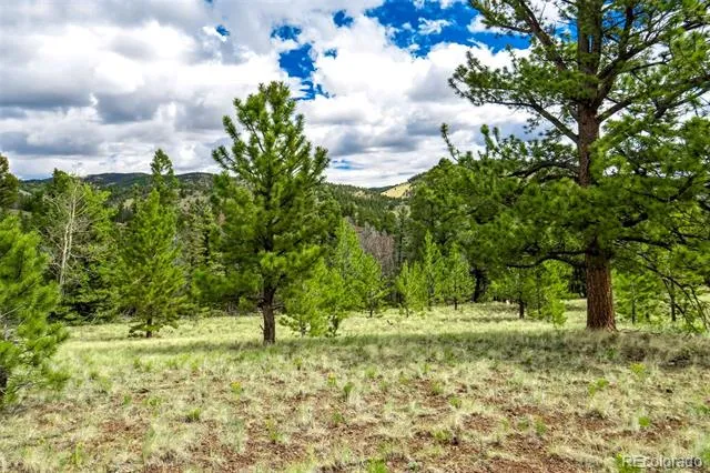 75 Deer Run Guffey, CO 80820