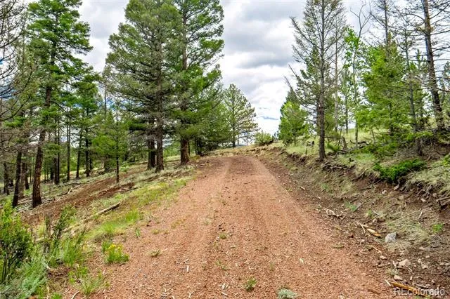 75 Deer Run Guffey, CO 80820