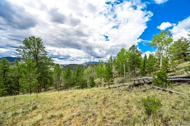 75 Deer Run Guffey, CO 80820