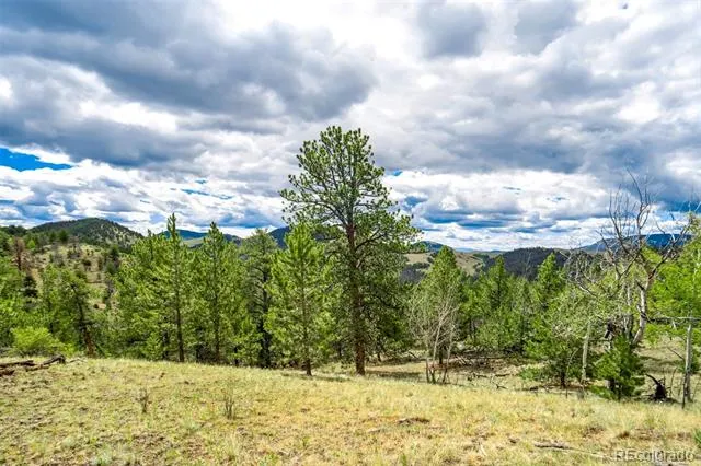 75 Deer Run Guffey, CO 80820