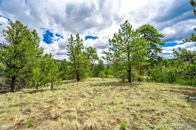 75 Deer Run Guffey, CO 80820