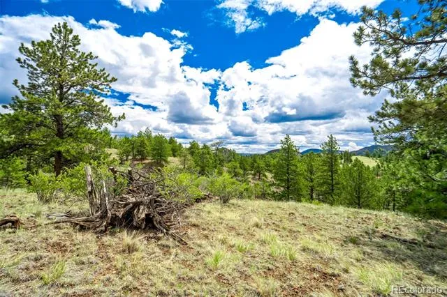 75 Deer Run Guffey, CO 80820