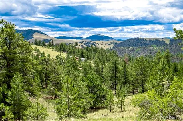 75 Deer Run Guffey, CO 80820