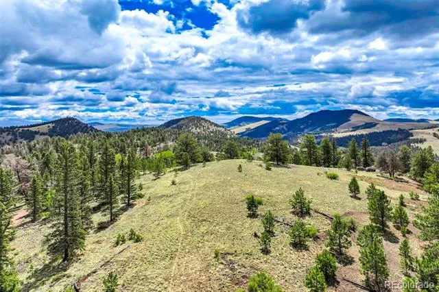 75 Deer Run Guffey, CO 80820