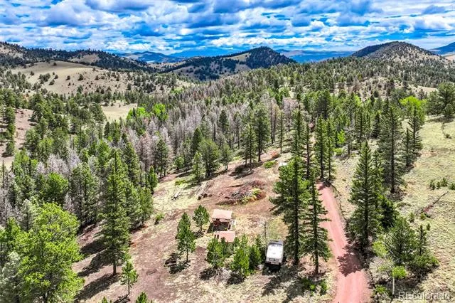75 Deer Run Guffey, CO 80820
