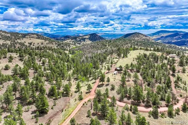 75 Deer Run Guffey, CO 80820