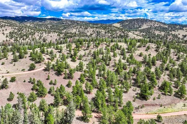 75 Deer Run Guffey, CO 80820